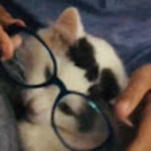 Meet your Posher, Maija